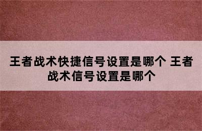 王者战术快捷信号设置是哪个 王者战术信号设置是哪个